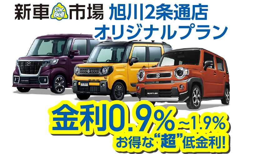 �C���[�W�ʐ^